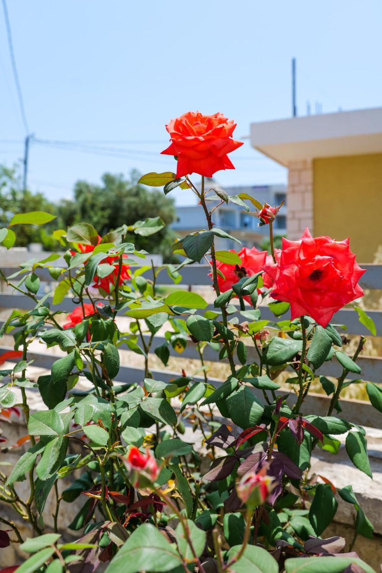 Leka Apartments Ksamil Bagian luar foto